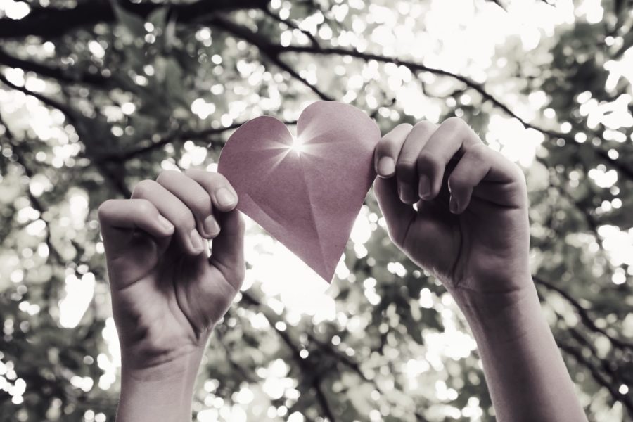 Starfish Impact About Us