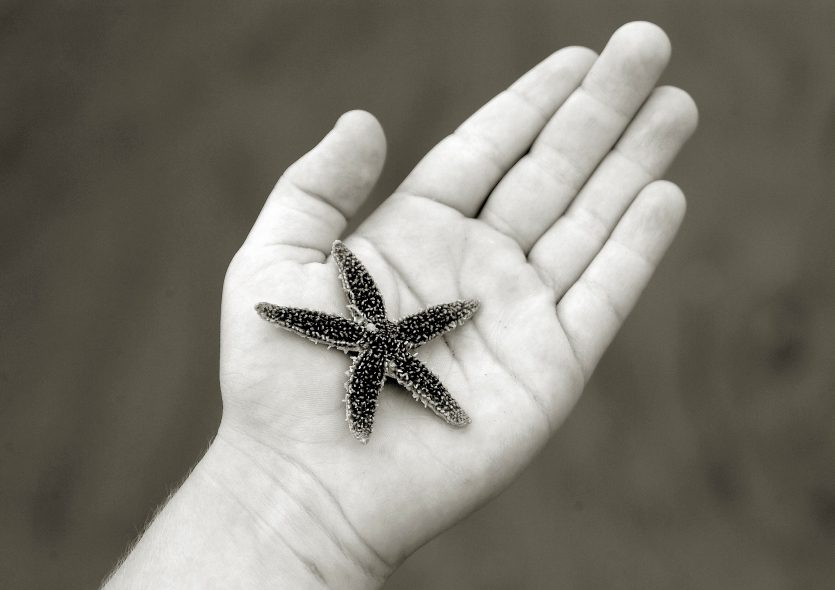 Starfish Impact – It makes a difference