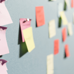 #SOS Nominated Nonprofits P2