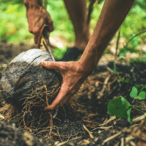 #SOS Nominated Nonprofits P3