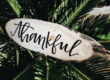 sf blog gratitude quotes
