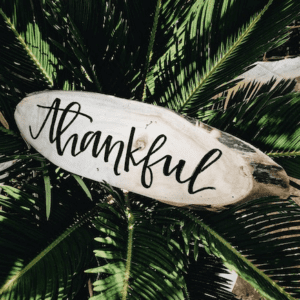 sf blog gratitude quotes