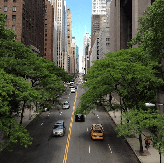 SF blog - corporate social impact