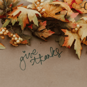 SF Blog - Holiday Volunteer Opportunities