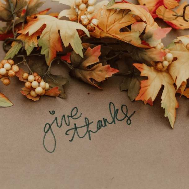 SF Blog - Holiday Volunteer Opportunities