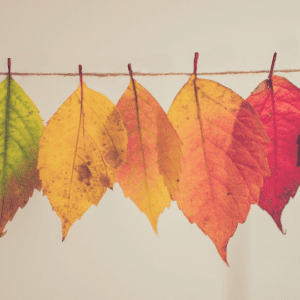 SF Blog - For the Good of the Office