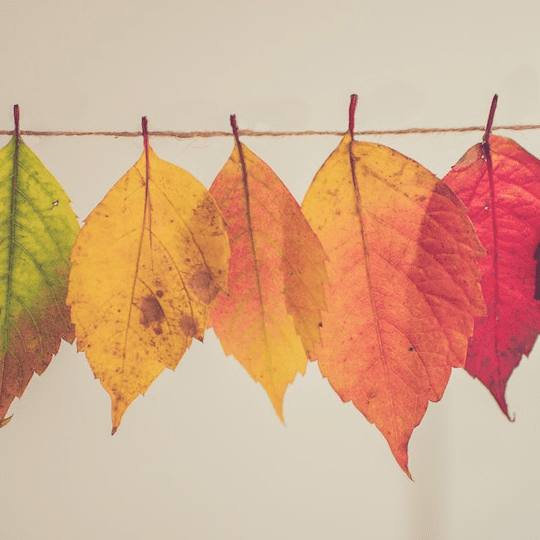 SF Blog - For the Good of the Office