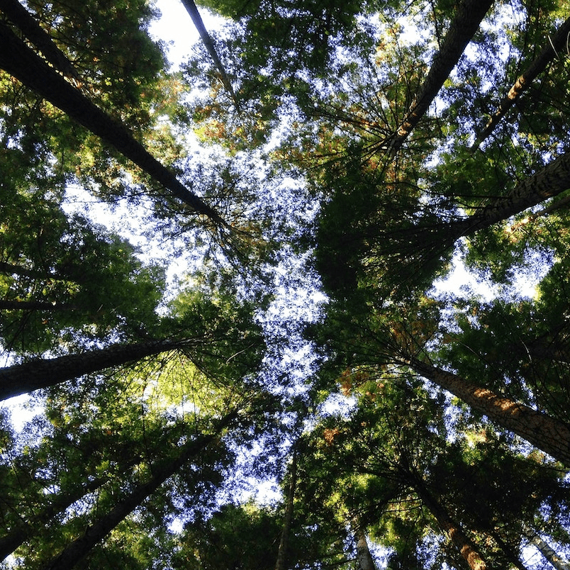 SF Blog - Environmental Justice Nonprofits