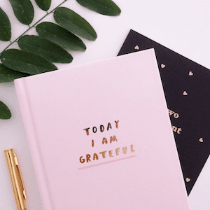 SF Blog - Gratitude Quotes