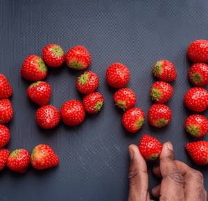 SF Blog – Food Justice Primer Food Justice Primer